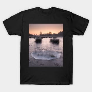 Cold Snap T-Shirt